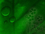 Looking Leaves PowerPoint Templates Looking Leaves PowerPoint Templates