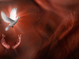 Peace PowerPoint Templates