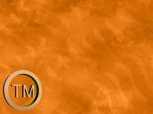 Trademark Title Content PowerPoint Template