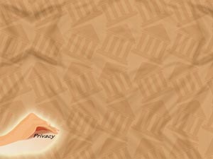 Privacy Act Title Content PowerPoint Template